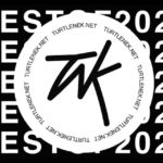 TURTLENEK’S 50 Best Songs of 2020