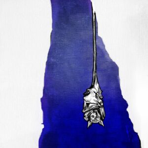 Read more about the article Hök mesmerize with dreamy new single ‘Jag har gjort det igen’